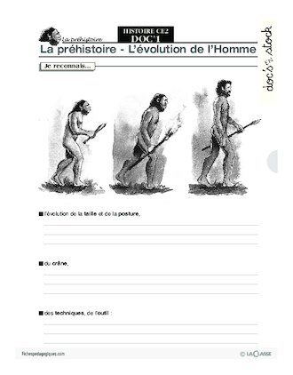 Histoire CE2 / L'évolution de l'Homme