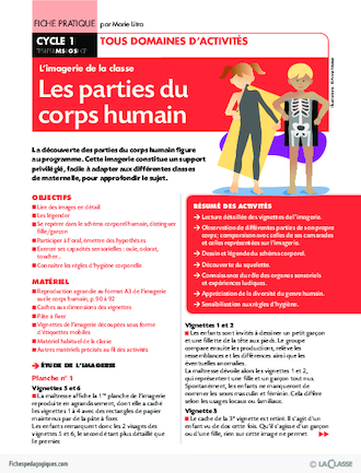 Imagerie de classe / Les parties du corps humain