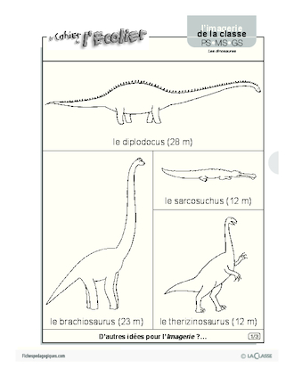 Imagerie: les dinosaures