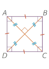 Images des quadrilatères