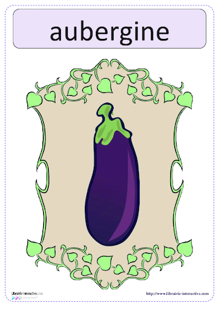 Imagier thématique - les légumes du potager
