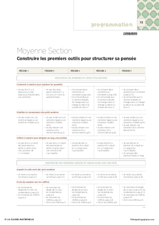 IO 2015 - Programmation MS - Construire les outils pour structurer sa pensée