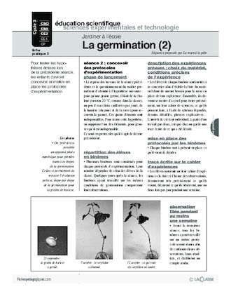 Jardiner (3) / La germination (2)