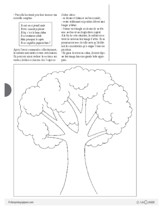 Jeux d'expression (1) / Des arbres