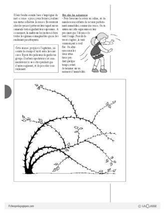 Jeux d'expression (3) / Des ronces