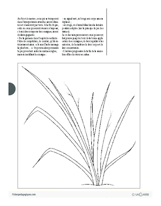 Jeux d'expression (8) / Les herbes sauvages