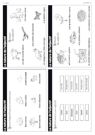 L'adjectif (CE1-CE2)