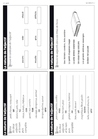 L'adjectif (CE1-CE2)