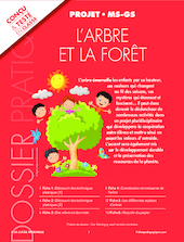 L'arbre et la forêt