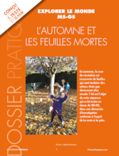 L'automne et les feuilles mortes