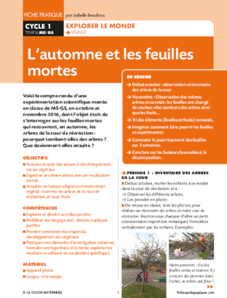 L'automne et les feuilles mortes