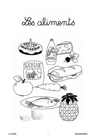 L'imagerie : les aliments