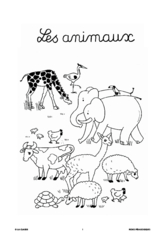 L'imagerie : les animaux