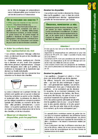 Et le cadre dans l'observation ? - école petite section