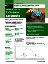 L'oiseau casquette