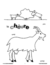 La chèvre