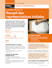 La circulation du sang 1/6. Représentations initiales