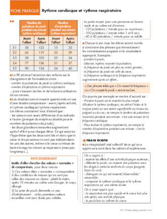 La circulation du sang 3/6. Rythme cardiaque et rythme respiratoire