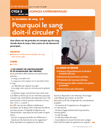 La circulation du sang 5/6. Pourquoi le sang doit-il circuler ?