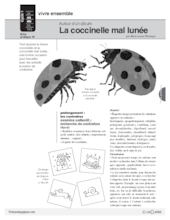 La coccinelle mal lunée (15) / Album