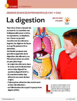 La digestion (dossier)