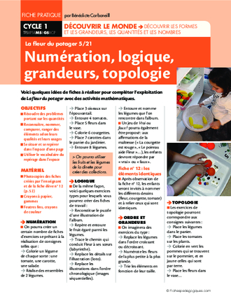 La fleur du potager (5) / Numération, logique, grandeurs...