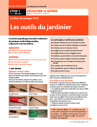 La fleur du potager (9) / Les outils du jardinier