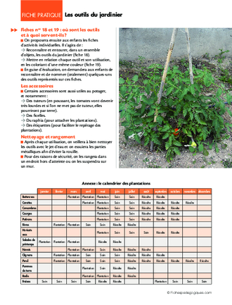 La fleur du potager (9) / Les outils du jardinier