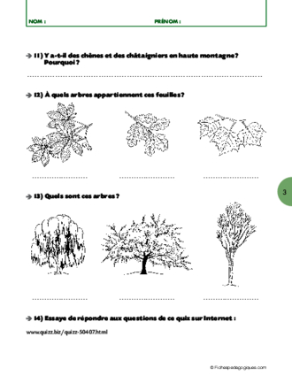 La forêt (2) / Etude d'un paysage géographique