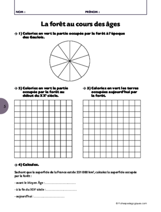 La forêt (3) / Lecture et construction de diagrammes