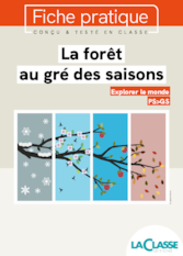 La forêt au gré des saisons