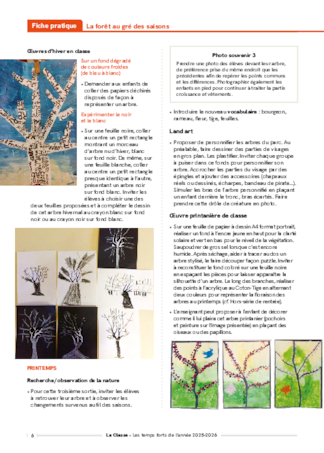 La forêt au gré des saisons