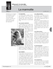 La marmotte  (2)