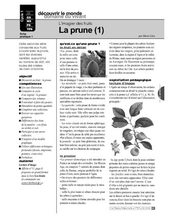 La prune (1)