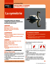 La symétrie (MS - GS)