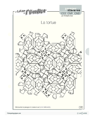 La tortue / Pavages