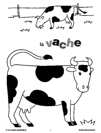 La vache