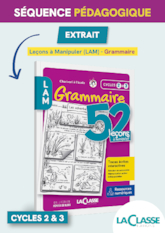 LAM Grammaire - Les déterminants (extrait)