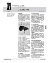 L'autruche (2)