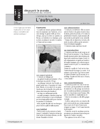 L'autruche (2)