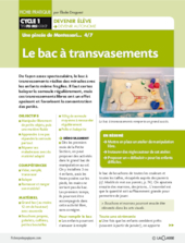 Le bac à transvasements. Montessori 4/7