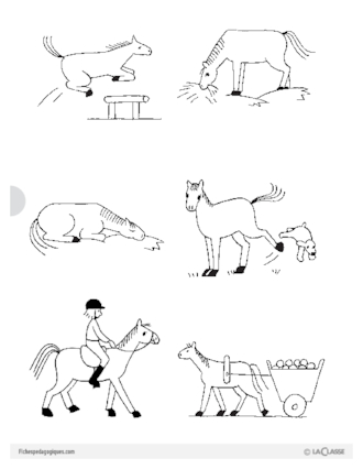Le cheval (5) : langage