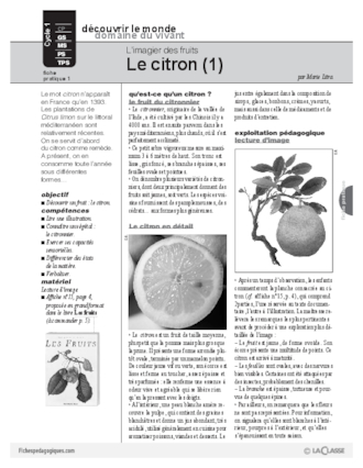 Le citron (1)