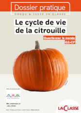 Le cycle de vie de la citrouille