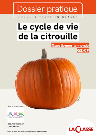 Le cycle de vie de la citrouille