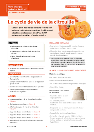 Le cycle de vie de la citrouille