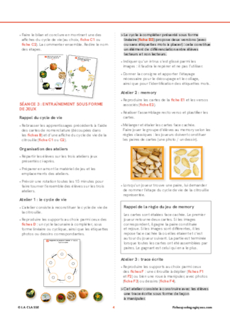 Le cycle de vie de la citrouille