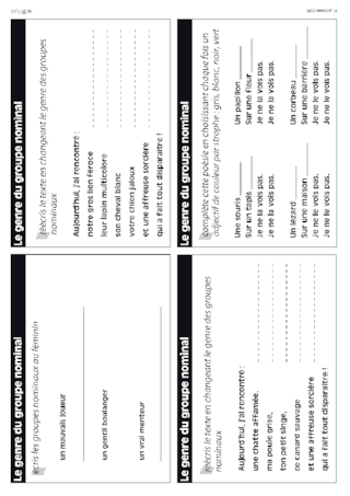 Le groupe nominal en CE1-CE2