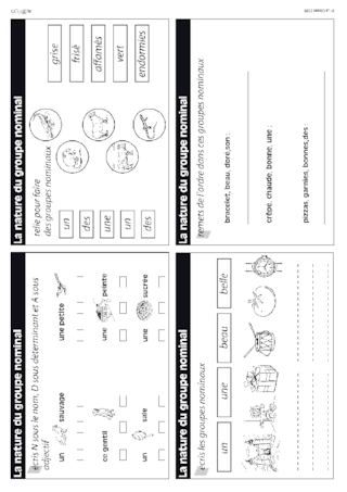 Le groupe nominal en CE1-CE2