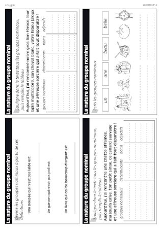 Le groupe nominal en CE1-CE2
